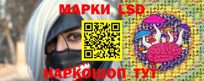 Альфа ПВП Новозыбков