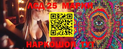 MDMA Новодвинск