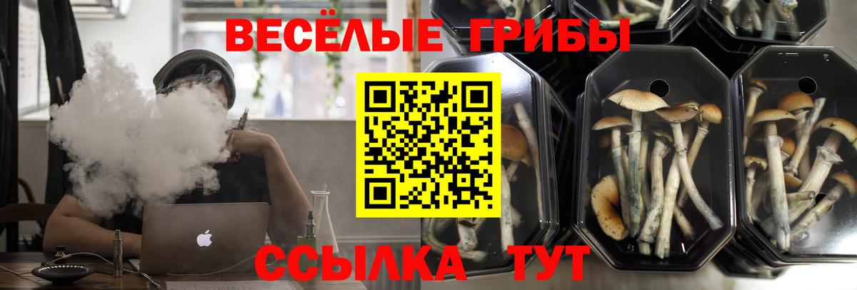Псилоцибиновые грибы прущие грибы  Вход с VPN  Тихвин 